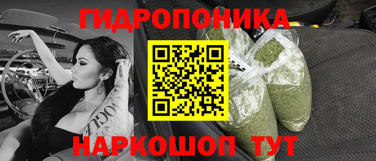 Конопля гибрид Топки